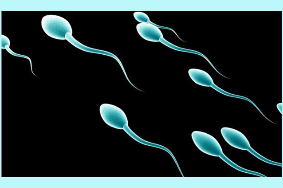 Nguyên nhân dẫn đến chất lượng tinh trùng giảm