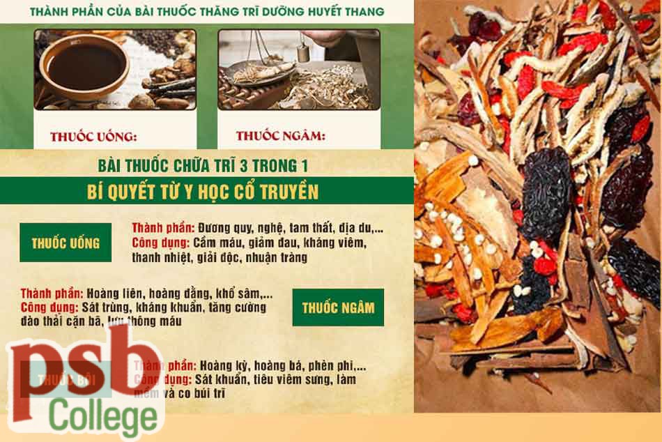 Thăng Trĩ Dưỡng Huyết Thang