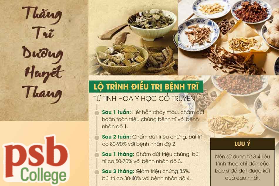 Thăng Trĩ Dưỡng Huyết Thang