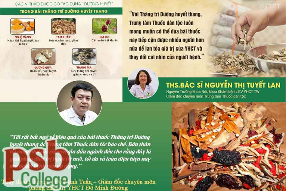 Thăng Trĩ Dưỡng Huyết Thang