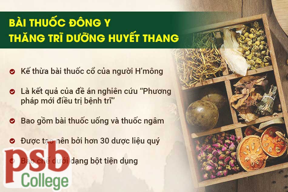 Thăng Trĩ Dưỡng Huyết Thang