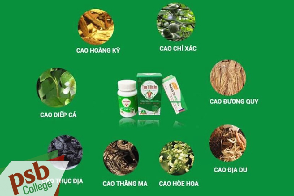 Các thành phần chính của Thăng Trĩ Mộc Hoa