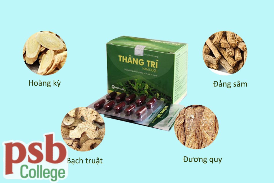 Một số thành phần của Thăng trĩ Nam Dược