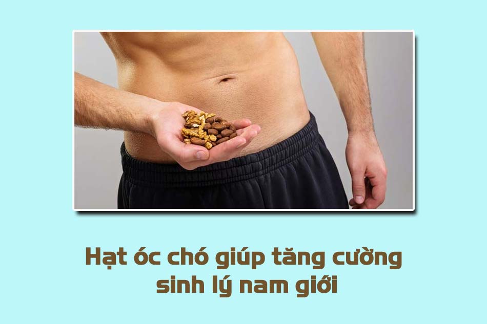 Hạt óc chó giúp tăng cường sinh lý nam