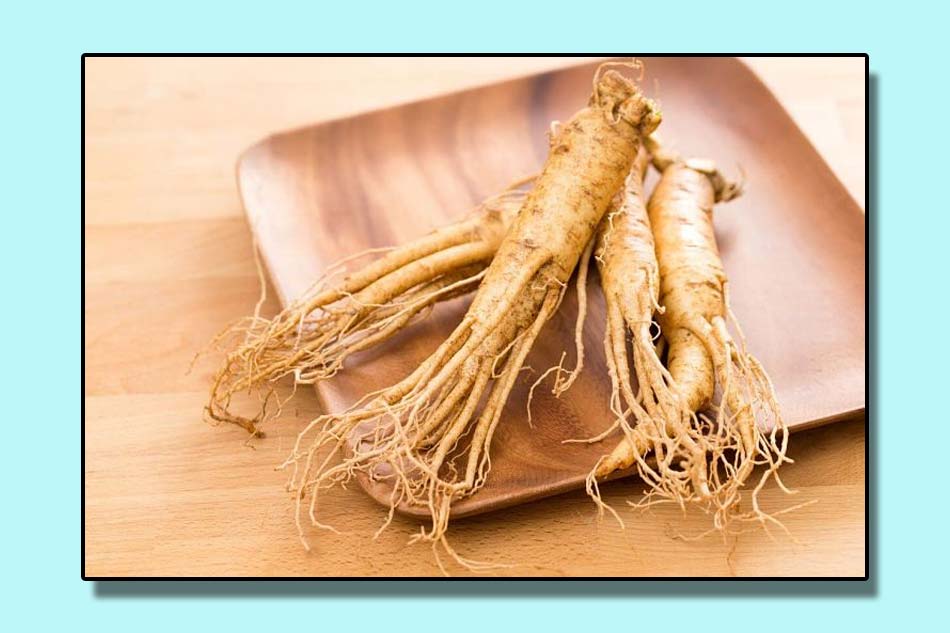 Bài thuốc trị xuất tinh sớm từ nhung hươu và nhân sâm