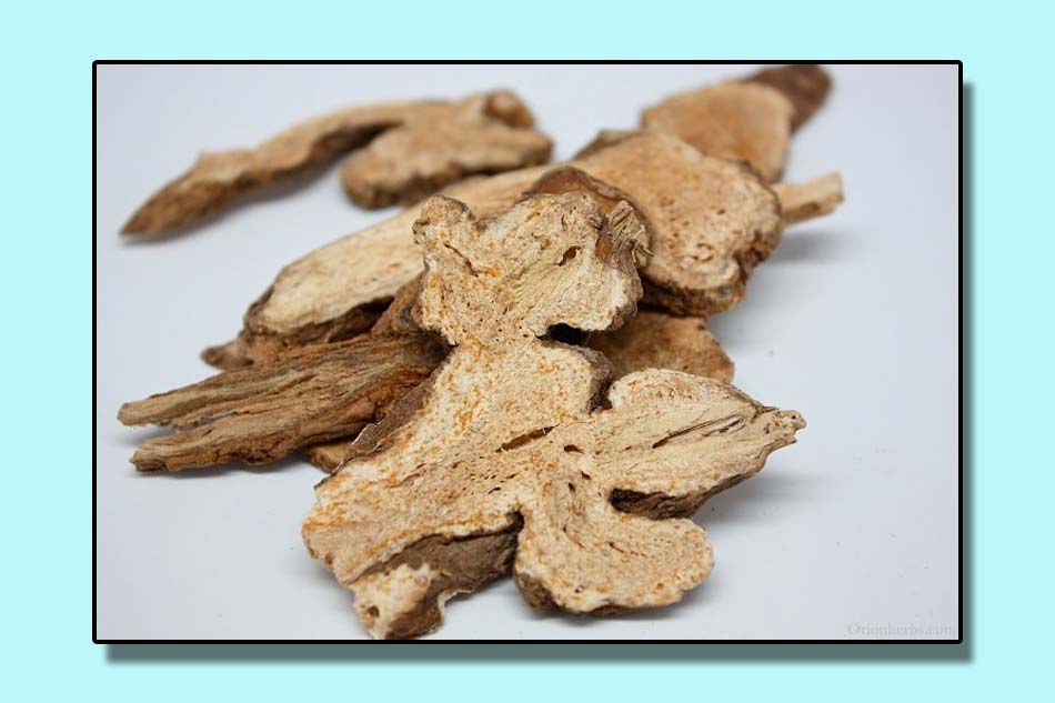 Bài thuốc chữa xuất tinh sớm từ sâm cau