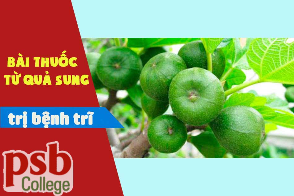 Bài thuốc từ rau diếp cá chữa trị bệnh trĩ