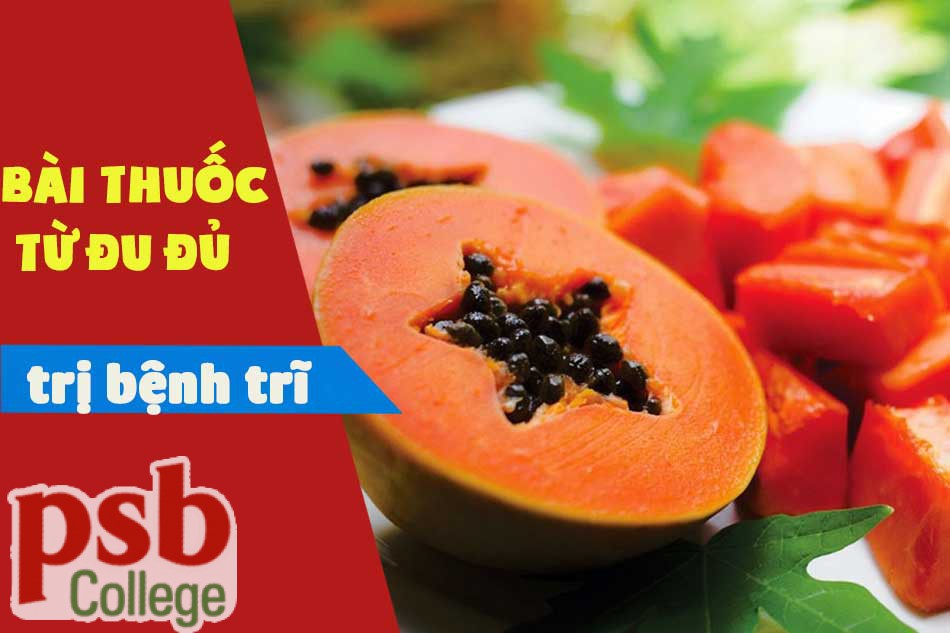 Bài thuốc từ đu đủ chữa trị bệnh trĩ
