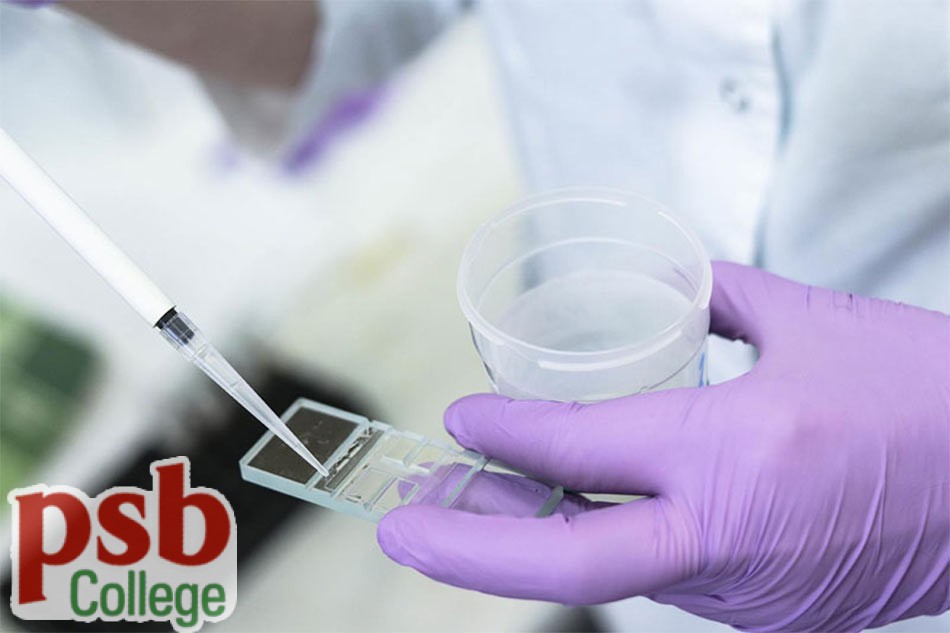 Xét nghiệm tinh dịch đồ