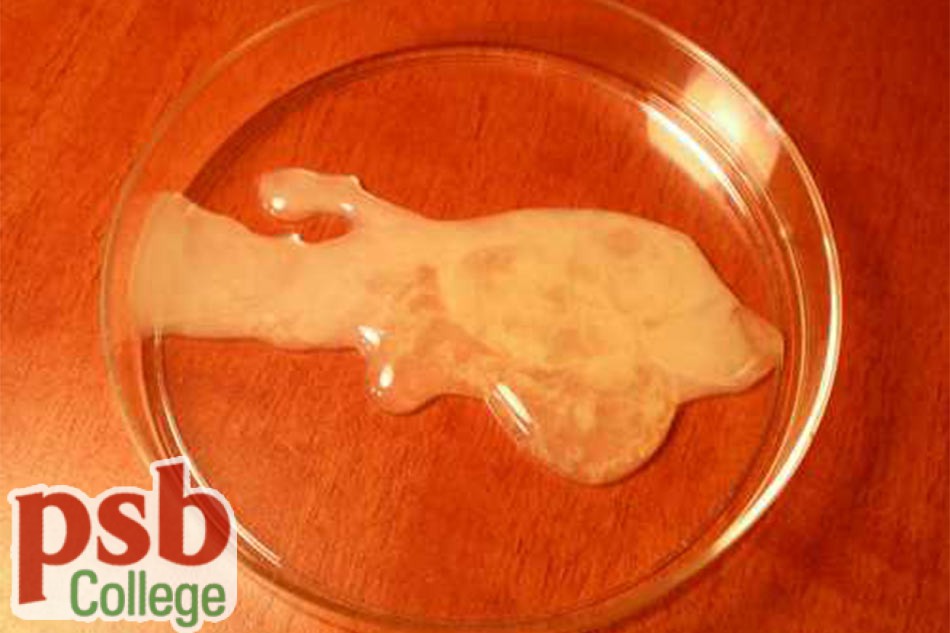 Mắc sắc bình thường của tinh trùng có màu sữa hoặc có màu trắng xám, có độ keo và quánh nhất định