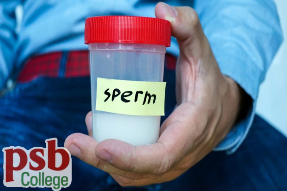 Màu sắc của tinh dịch có thể biểu hiện bệnh lý gì?