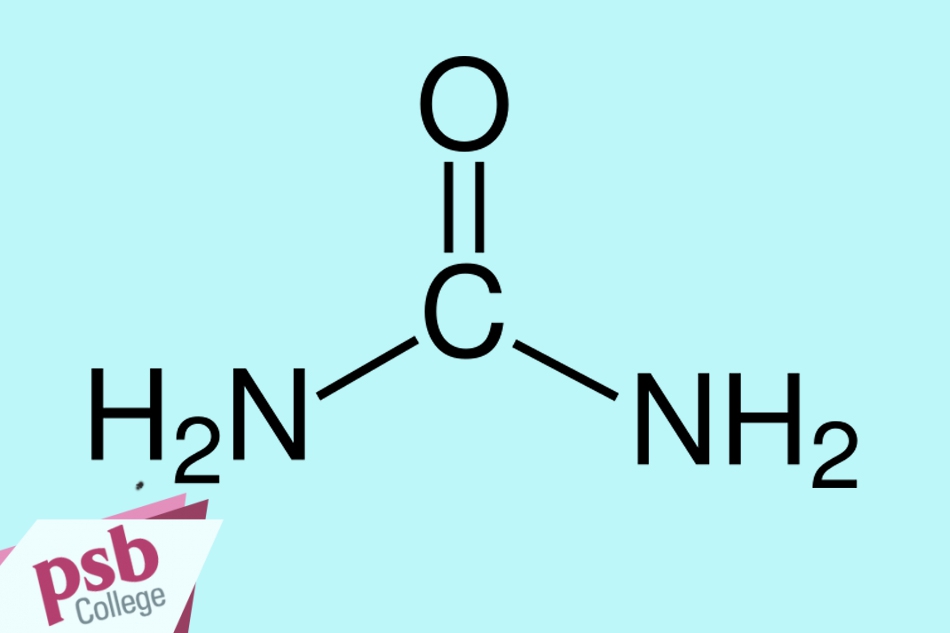 Công thức hóa học của urea