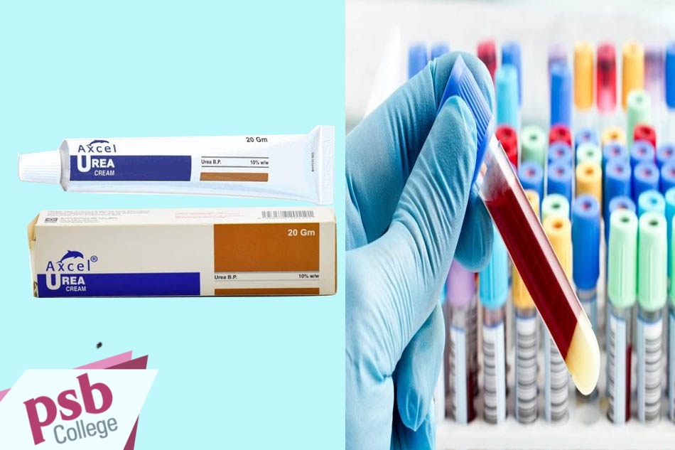 Urea được sử dụng để làm thuốc và được sử dụng trong các phản ứng hóa sinh.